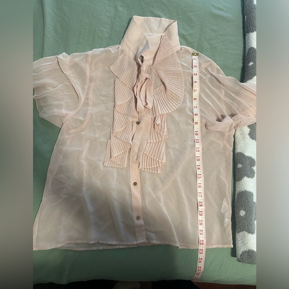 Sheer Pink Zara Blouse - Picture 7 of 7